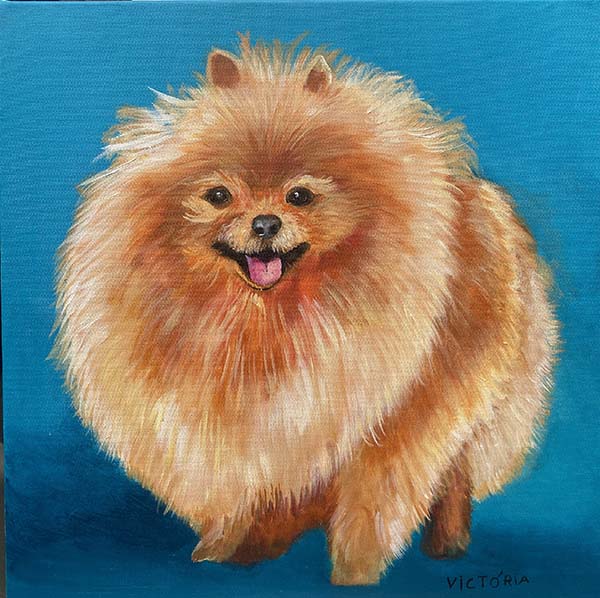 Spitz - 50 x 50  - AST